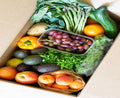 Veg Box (Small)